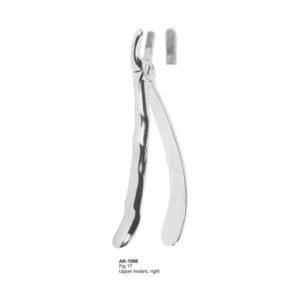 Upper Molars, Right Extracting Forceps