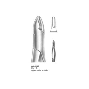 Upper Incisors American Patten