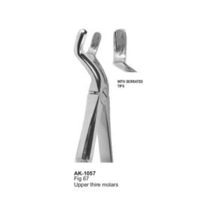 Upper thire, molar Extracting Forceps