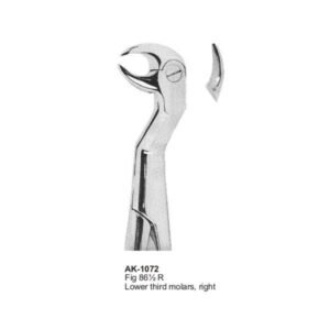 Lower Third Molars, Right Extracting Forceps
