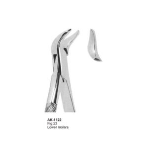 Lower Molars American Patten