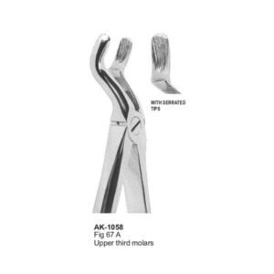 Upper third, molars Extracting Forceps