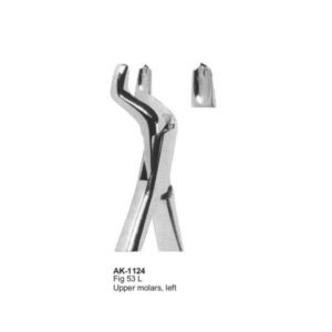 Upper Molars, left American Patten
