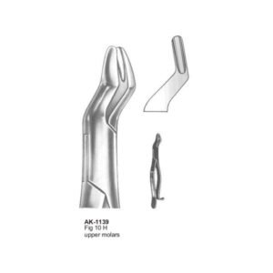 Upper Molars American Patten