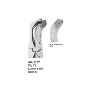 Lower Third Molars American Patten