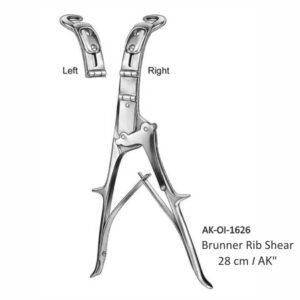 Brunner Rib Shear