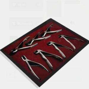 Extraction forceps child set of 7pcs